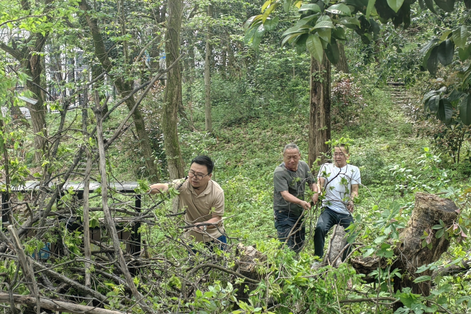 微信图片_20240403145150.jpg 微信图片_20240403145150.jpg