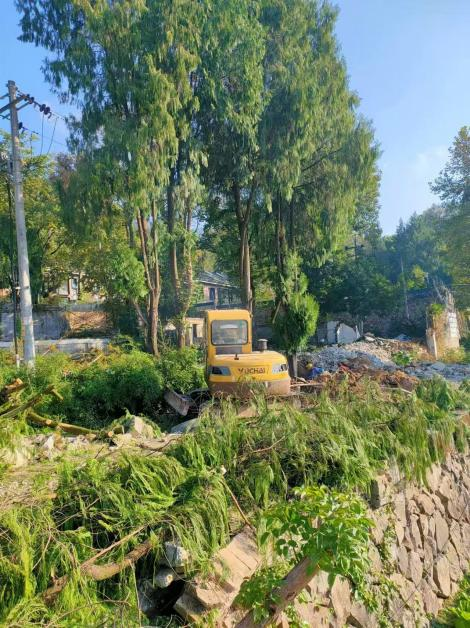 图片1.png 图片1.png