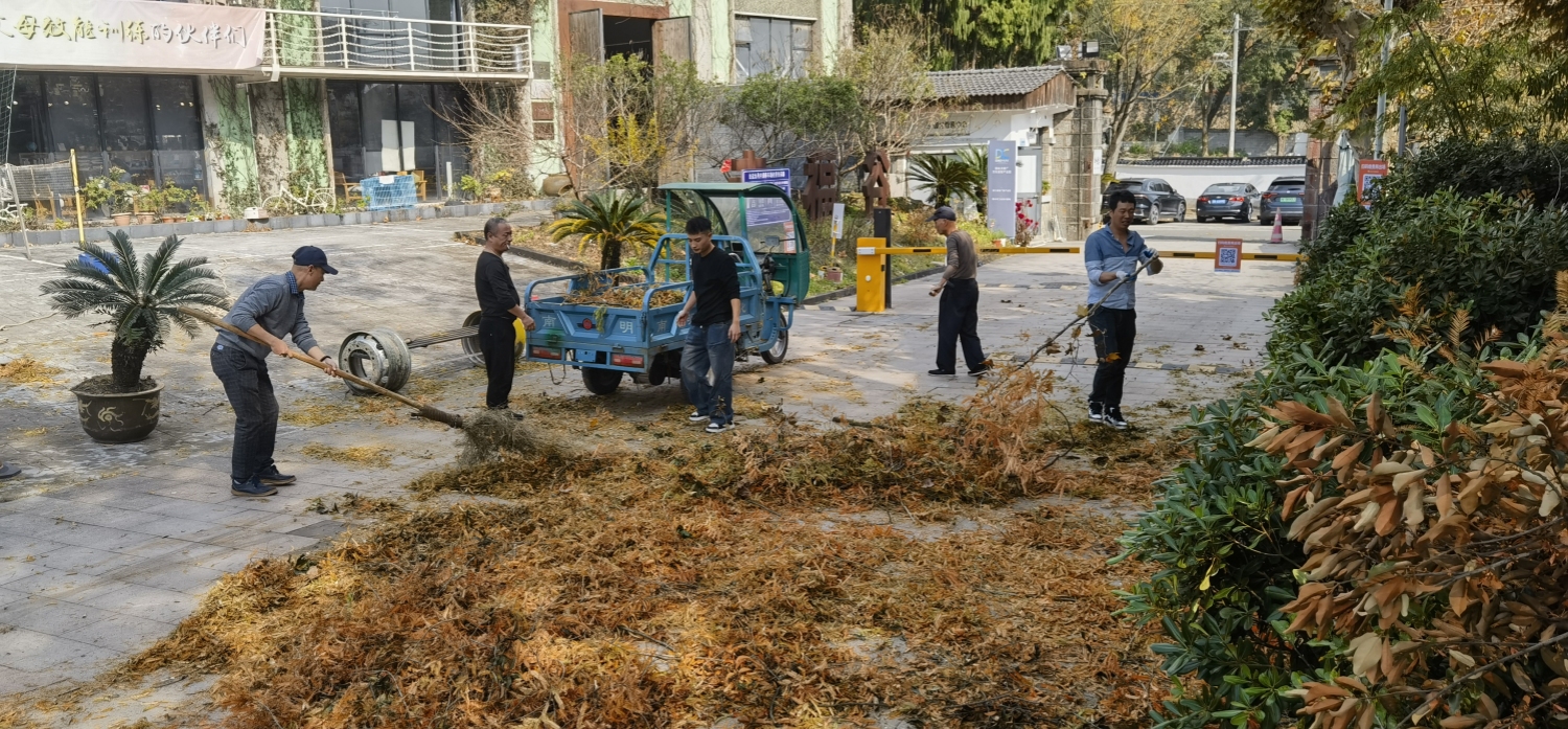 微信图片_20241206085648.jpg 微信图片_20241206085648.jpg